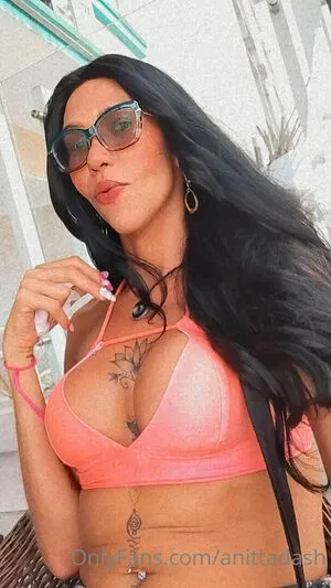 anittadash