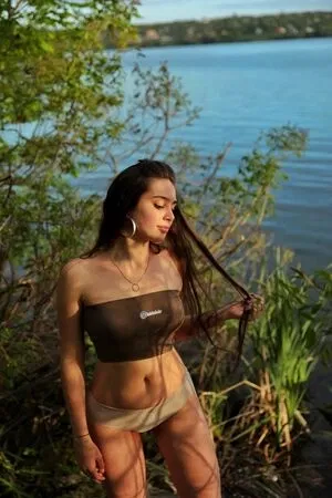 Lisi Flex