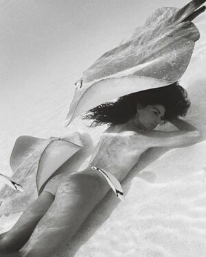 Ariadna Hafez