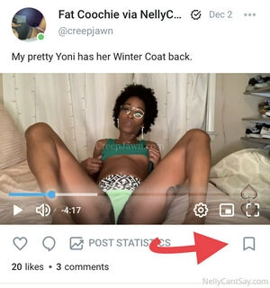 nellycantsay