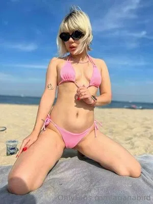 arianabird