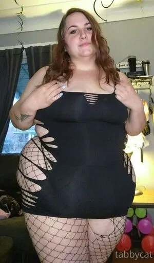 tabby_cat95