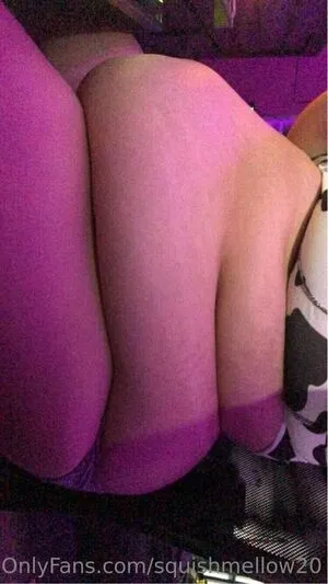 squishmellow20