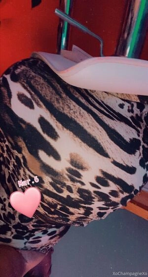 xochampagnexo