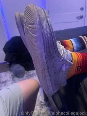 alphacollegejock