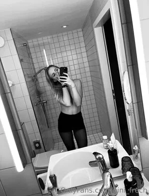 gini_frech