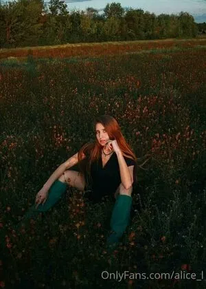 alice_l