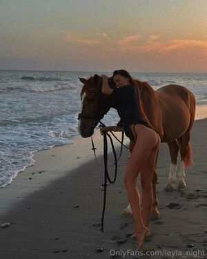 leyla_night