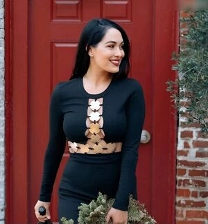 Brie Bella
