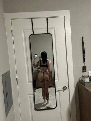 turboxtits