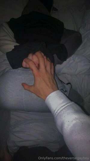 theversegayboy