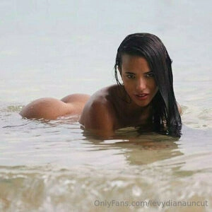 diana levy