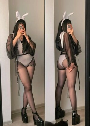 ds_cherry