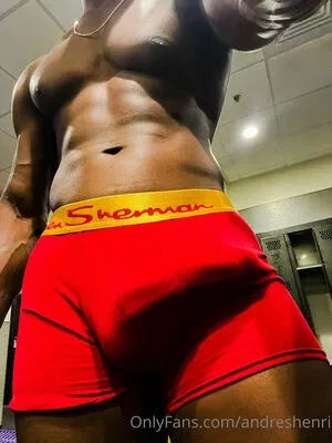 andreshenri
