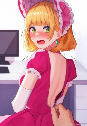 Novelchef