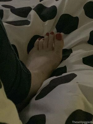 theselilpiggie6