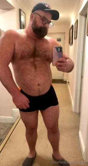 britbull / bullbrit
