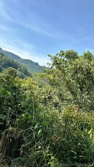 taamaara / taamaara__