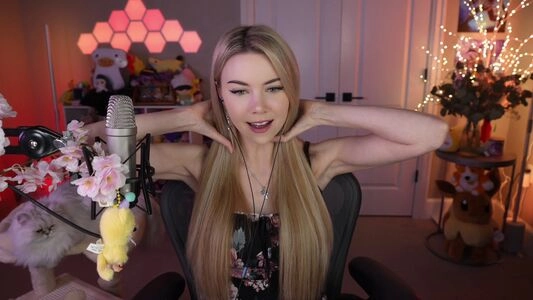 Dizzykitten / dizzykitten7 / dizzykittenpaws / thedizzykitten