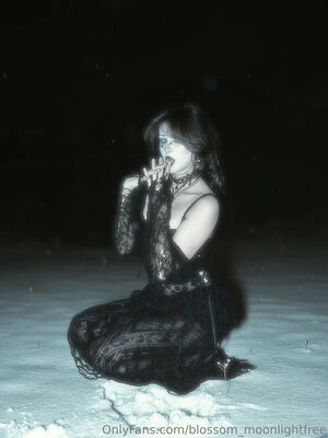 blossom_moonlight / blossom_moonlightfree