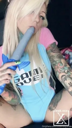 NintendoPanda / nintendo.panda