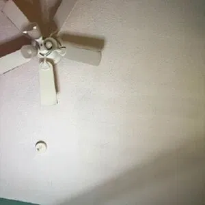 MyFridaCams / MyHoneyFrida