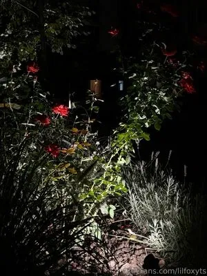 lilfoxy98 / lilfoxyts