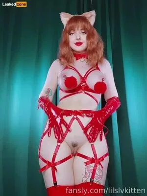 Lilslvkitten / lilvkitten