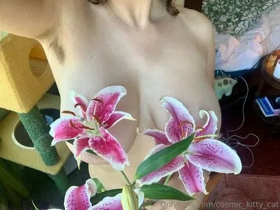 Cosmic_Kitty_Cat / cosmic_kitty_cat_