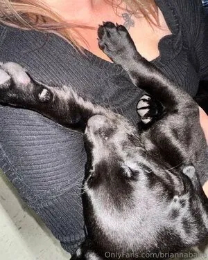 Brianna / Hadees / brianna_ / briannababe / https: / itshades