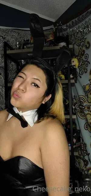 cheesecake_neko / cheesecakechinos