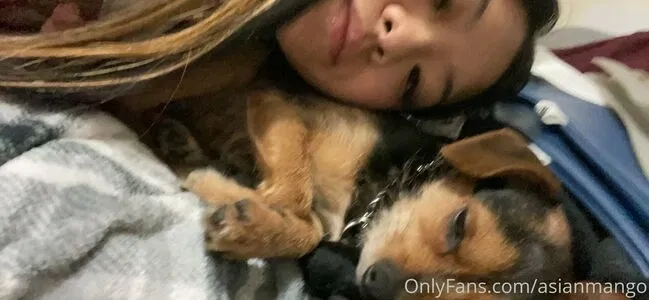 asianmango / asianmangogirl