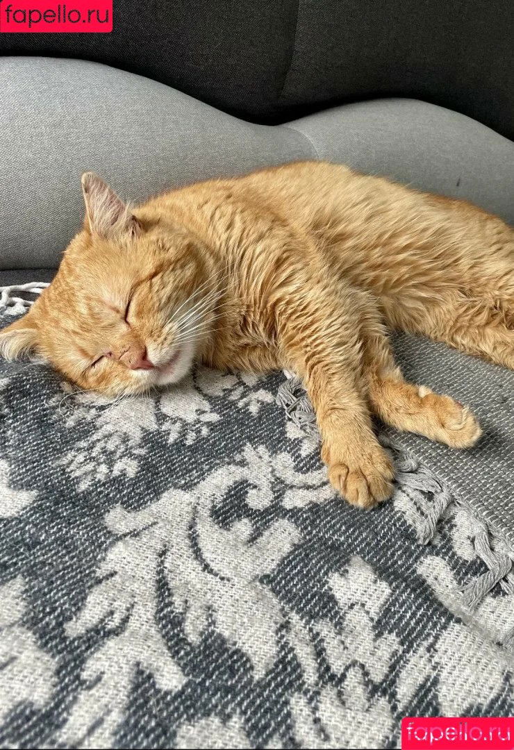 Suzanna A / Suzanna De Rose / susanna.derose / suzannaderose