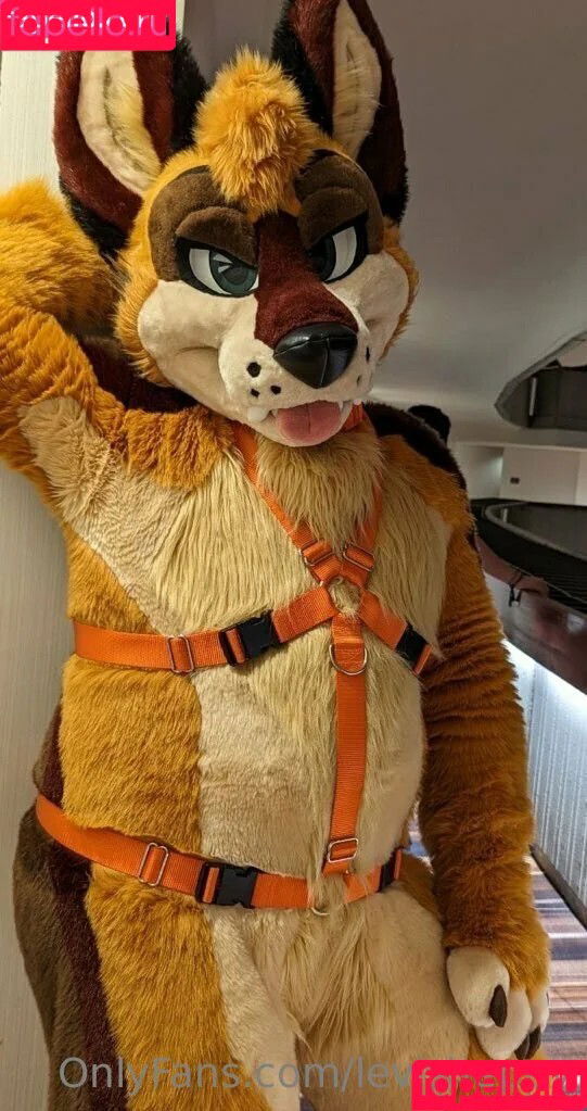 levisheppy / thesillygsd