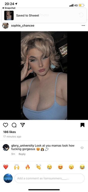 Sophie C / heys0phie / sophiechoudry