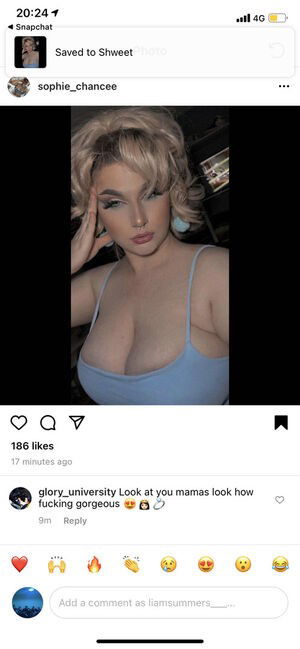 Sophie C / heys0phie / sophiechoudry