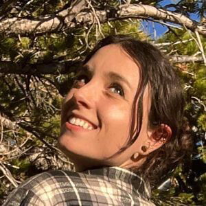 forest-fox / littleforestfox