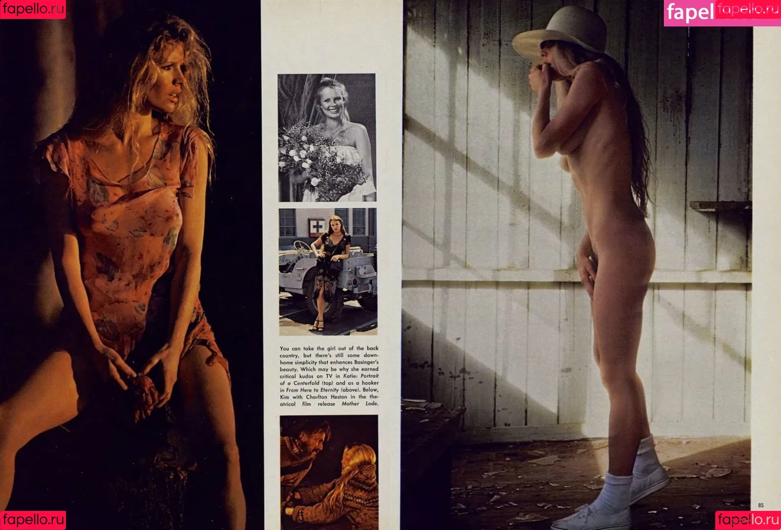 Kim Basinger Onlyfans Photo Gallery 