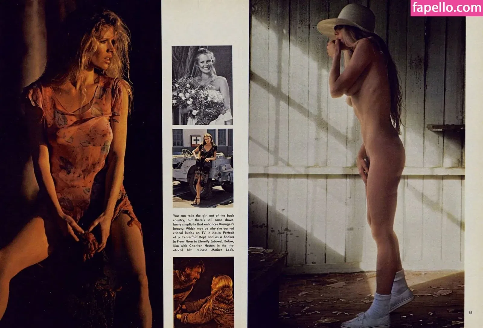 Kim Basinger Onlyfans Photo Gallery 