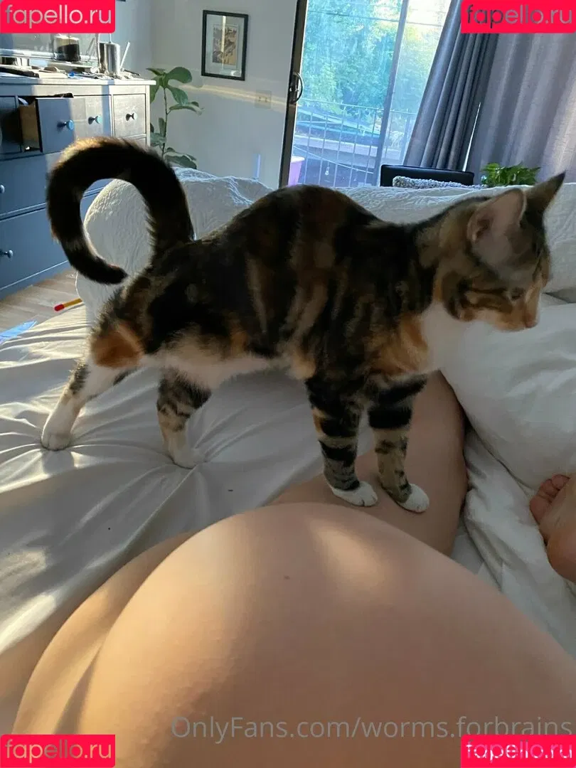 worms.forbrains Onlyfans Photo Gallery 