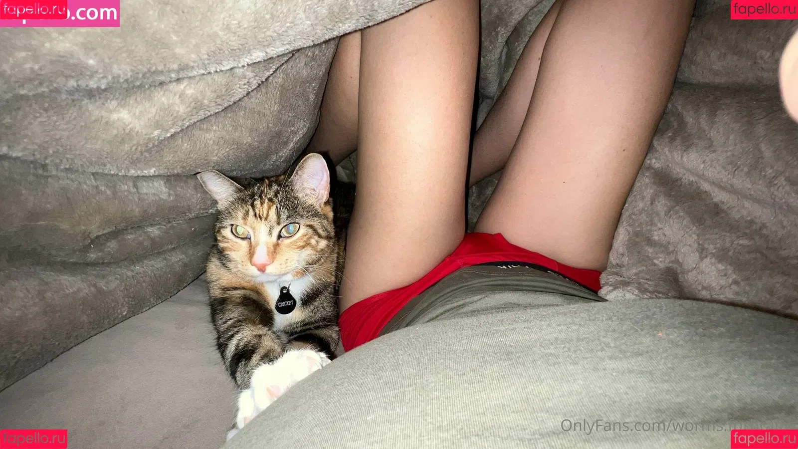 worms.forbrains Onlyfans Photo Gallery 
