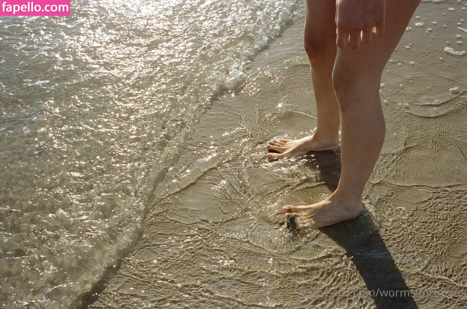 worms.forbrains Onlyfans Photo Gallery 