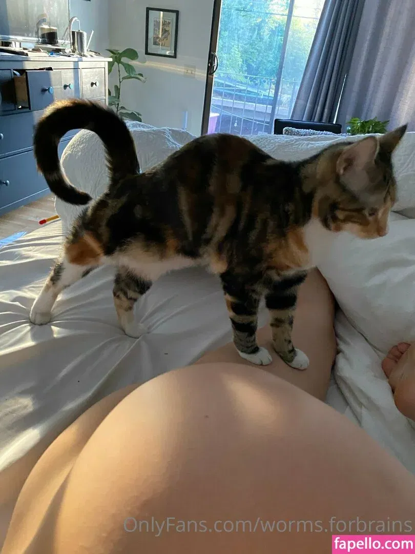 worms.forbrains Onlyfans Photo Gallery 