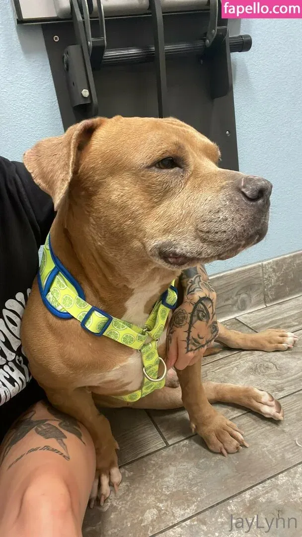 Jaylynn Onlyfans Photo Gallery 