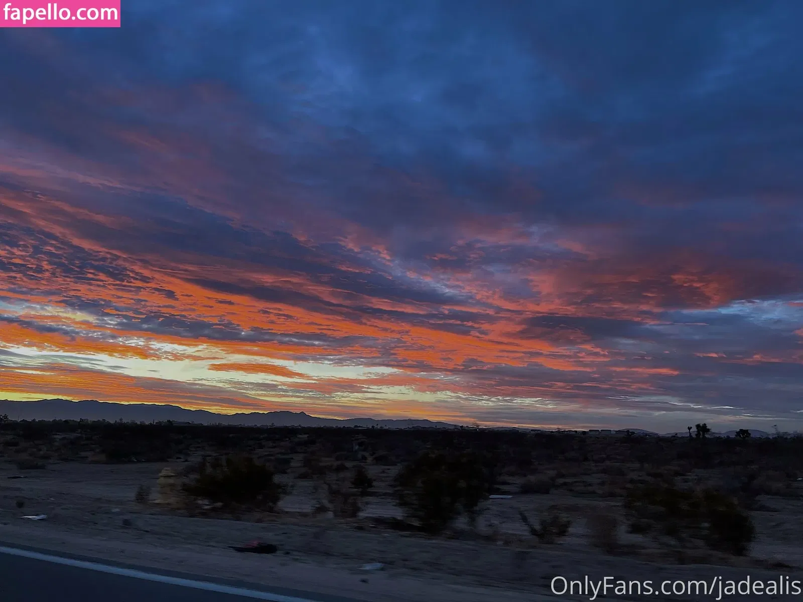 jadealis Onlyfans Photo Gallery 