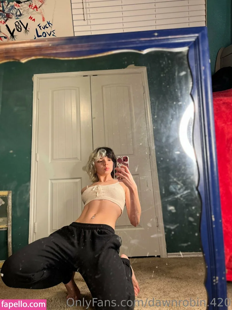 dawnrobin.420