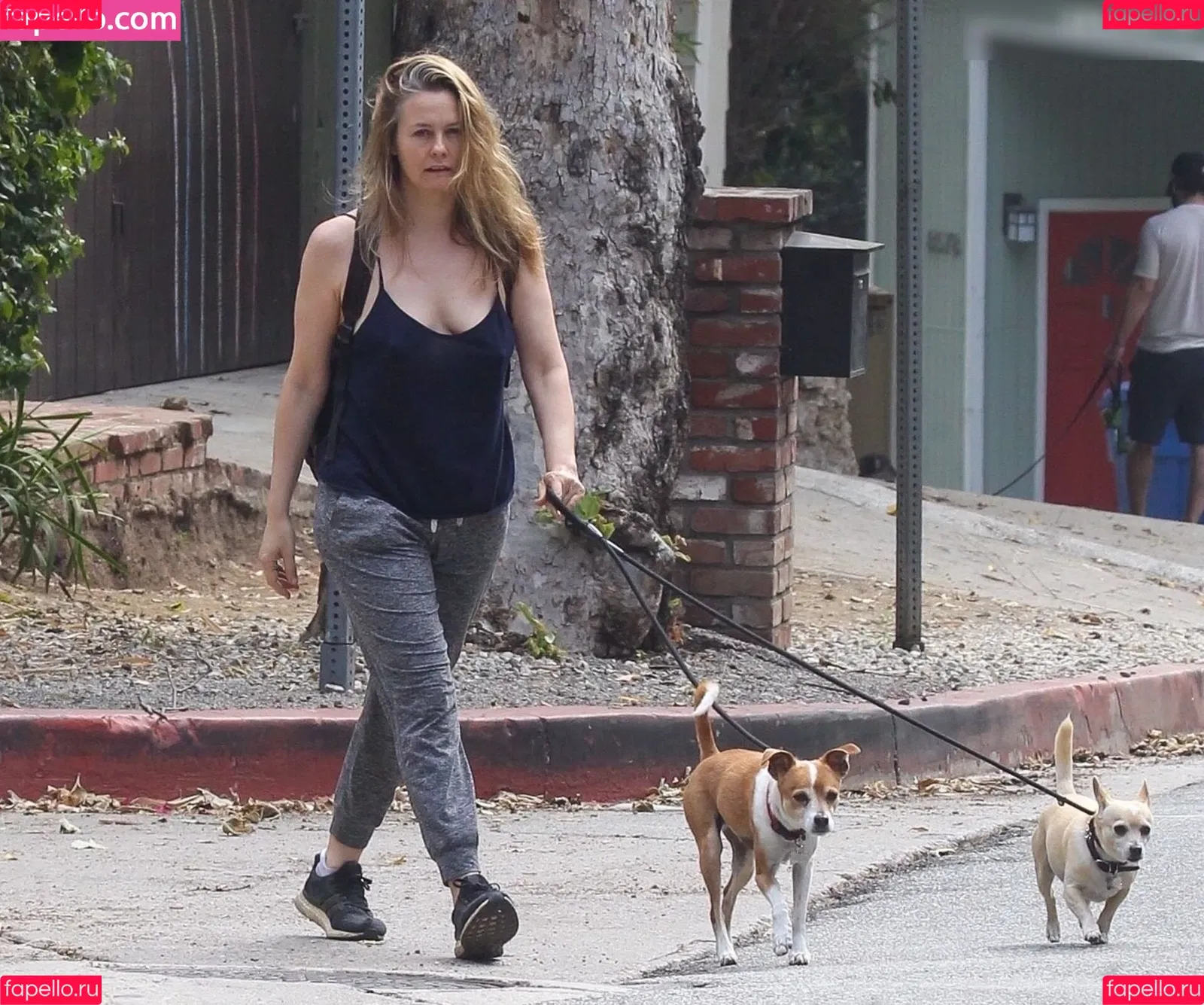 Alicia Silverstone Onlyfans Photo Gallery 