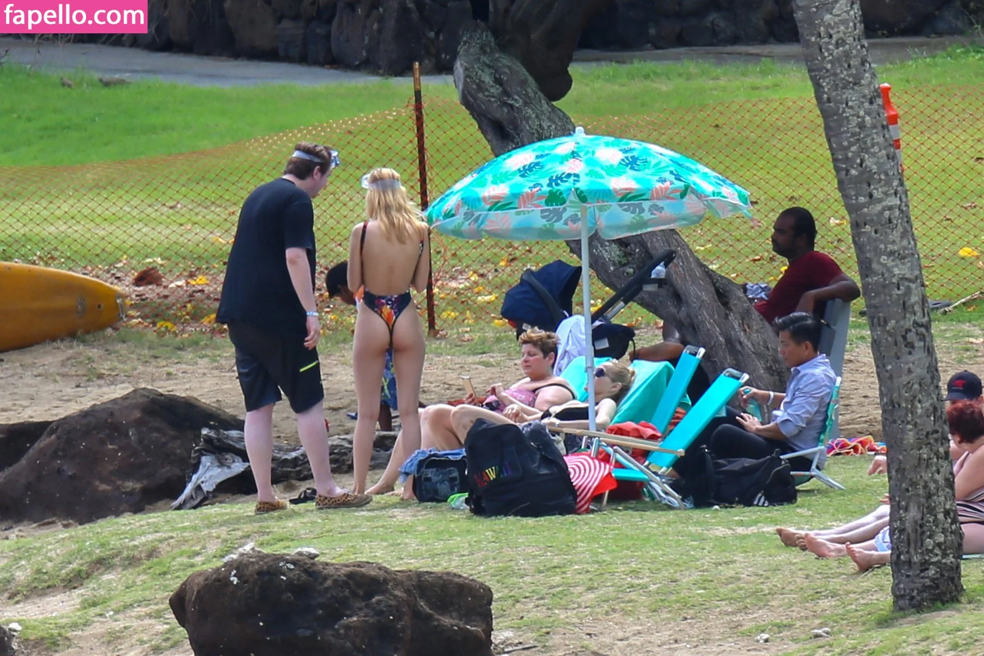 Nicola Peltz Onlyfans Photo Gallery 