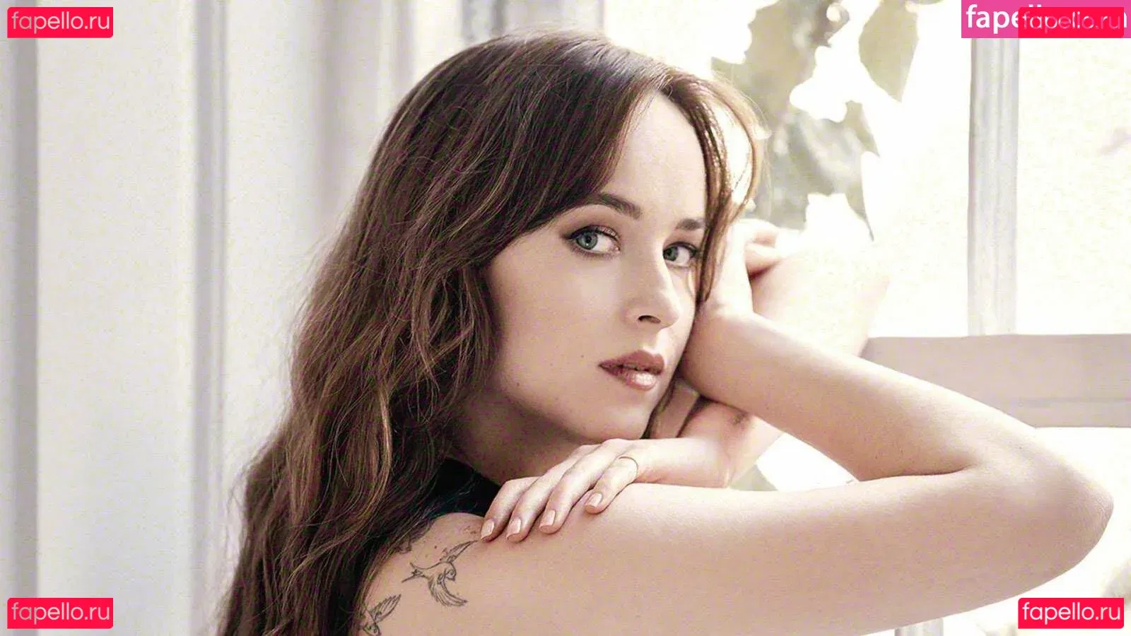 Dakota Johnson Onlyfans Photo Gallery 