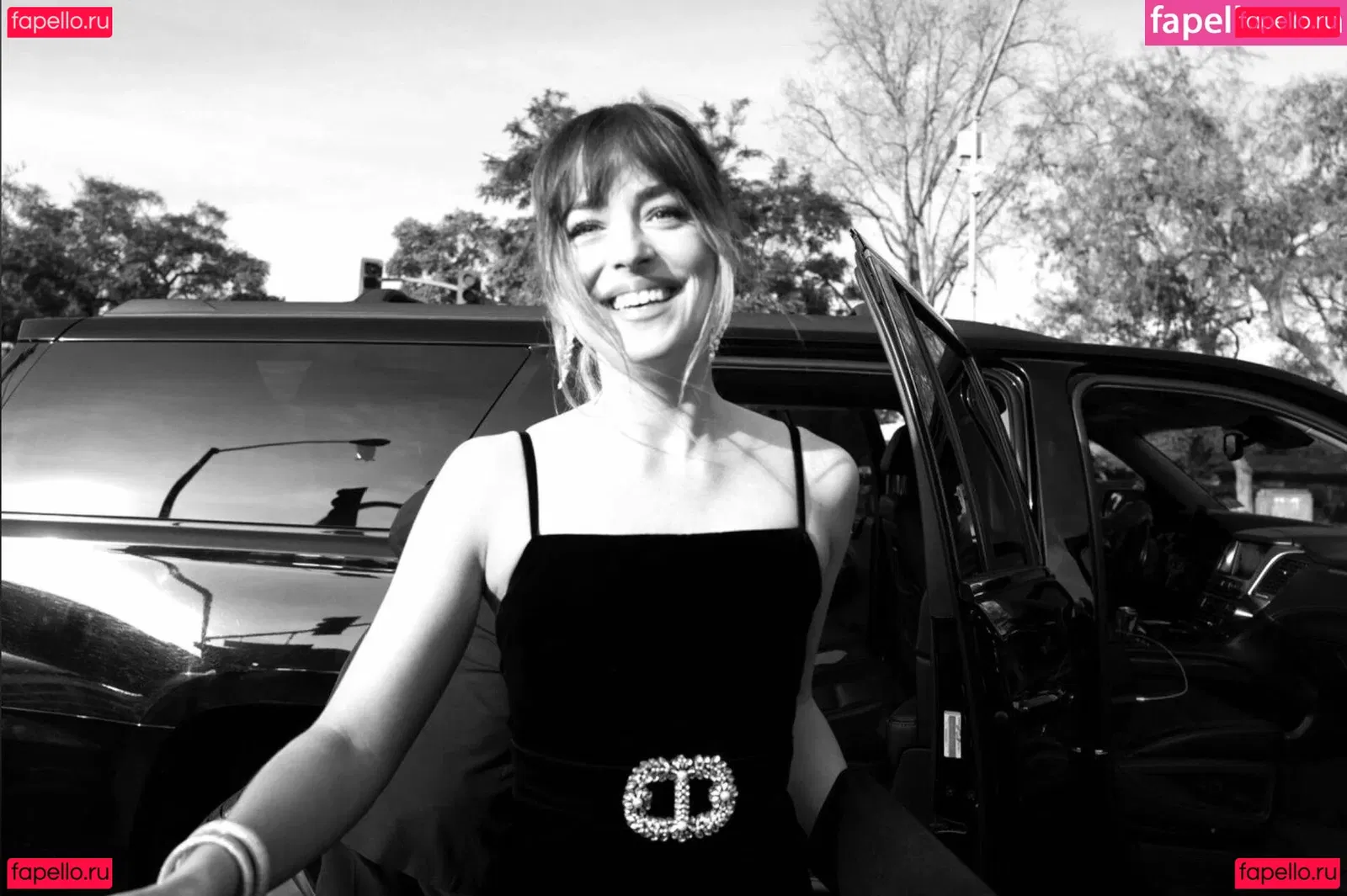 Dakota Johnson Onlyfans Photo Gallery 